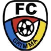 FC Grimma II