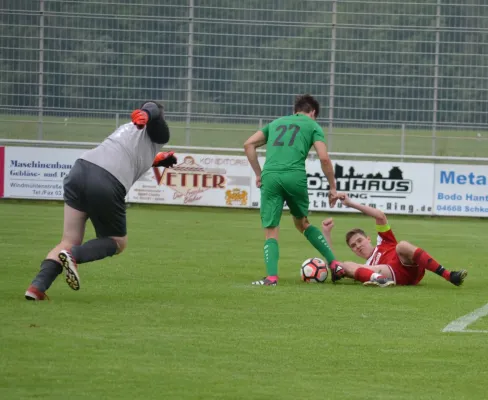 02.06.2024 SV Eintracht Sermuth vs. SG Zschaitz